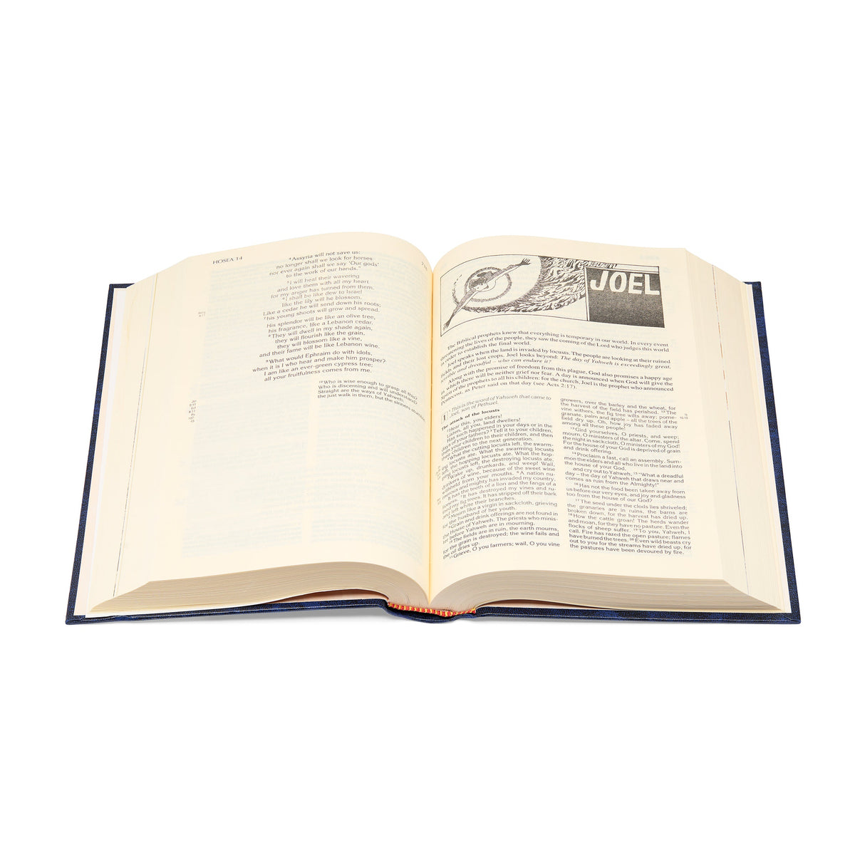 Blue Christian Community Bible: Catholic Pastoral Edition in English