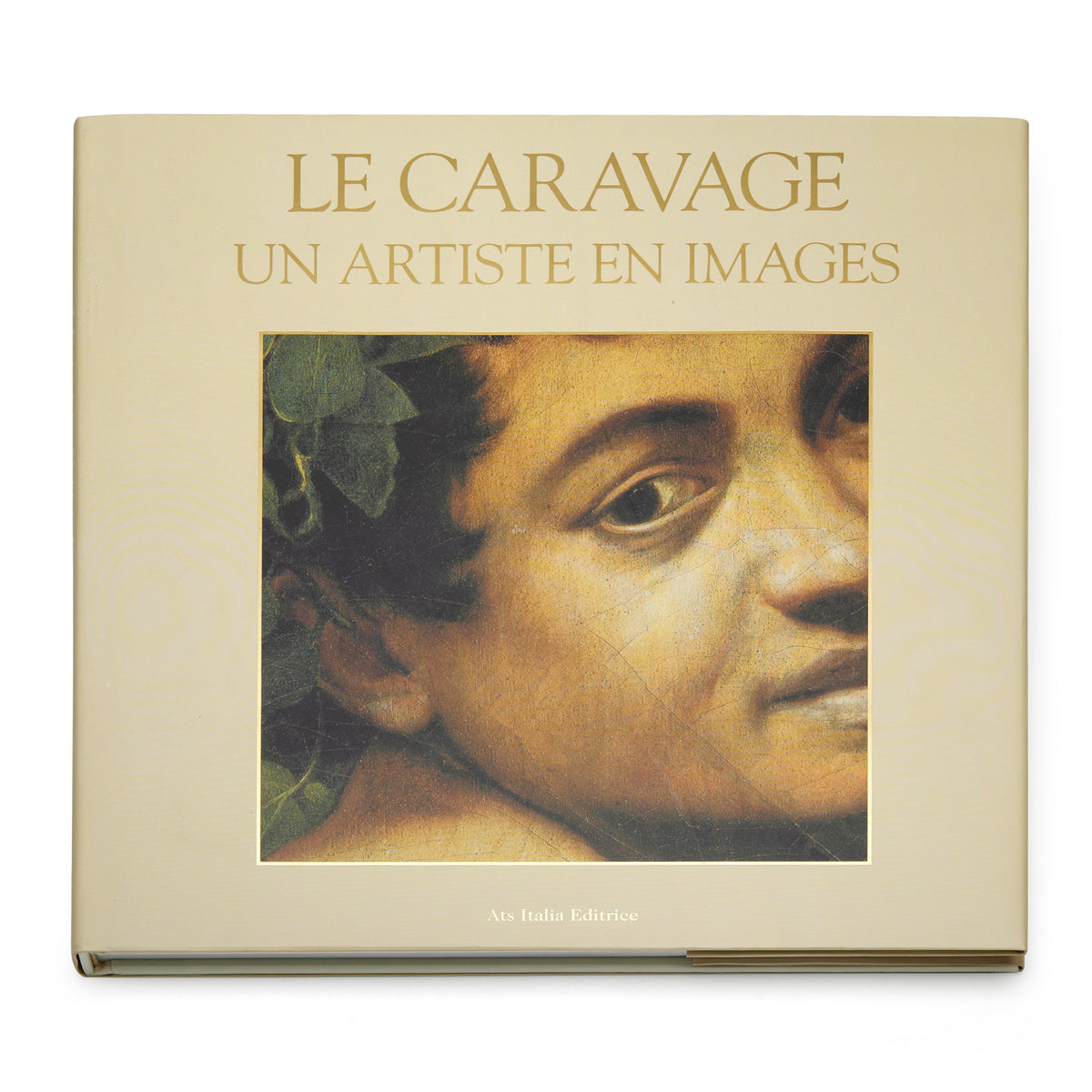 Caravaggio: An Artist Through Images