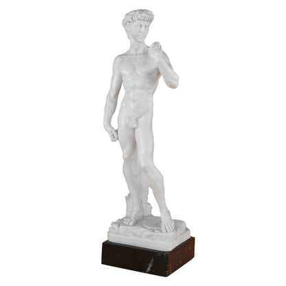 David of Michelangelo Statue Marble Dust