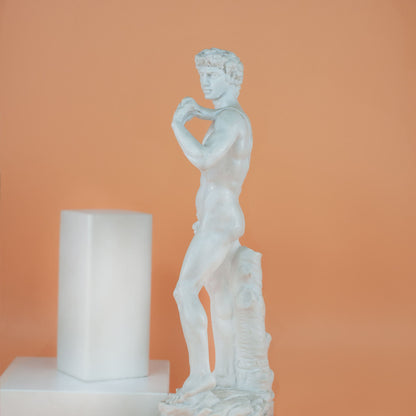 David of Michelangelo Statue Marble Dust
