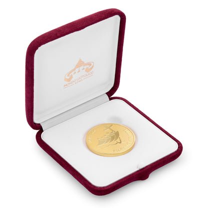 Gold-tone Jubilee 2025 Commemorative Coin – Exclusive Edition