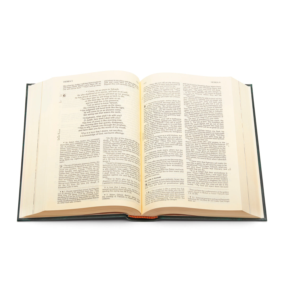 Green Christian Community Bible: Catholic Pastoral Edition in English