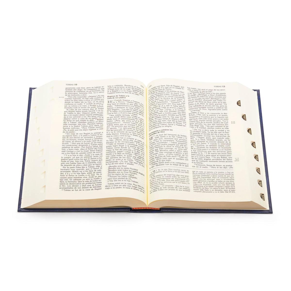 Holy Bible in Spanish