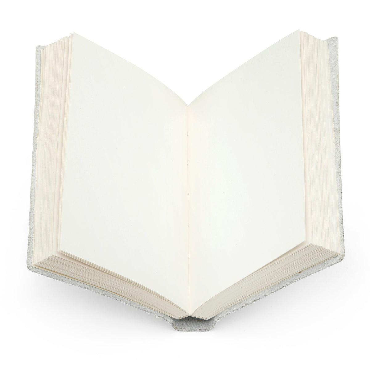 Leather Notebook featuring Rome's Symbols