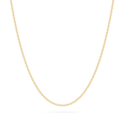 Yellow Gold Rolo Chain Necklace