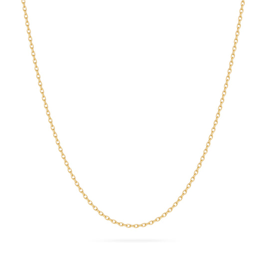 Yellow Gold Rolo Chain Necklace